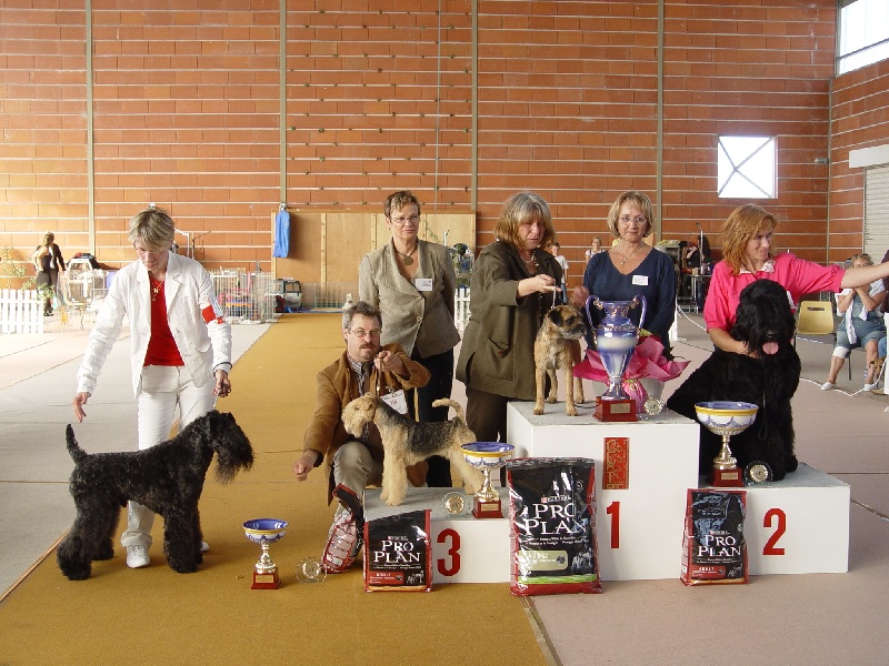 CH. Shenny Des Diablotins De L'Ozon