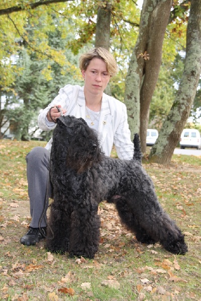 CH. Shenny Des Diablotins De L'Ozon
