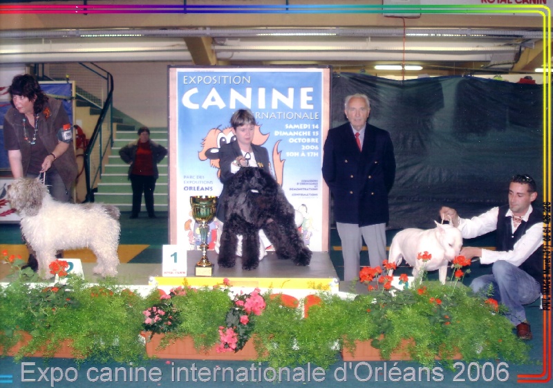 CH. Shenny Des Diablotins De L'Ozon