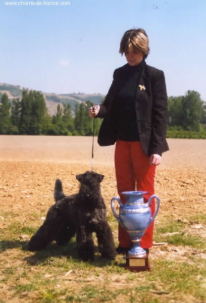 CH. Shenny Des Diablotins De L'Ozon