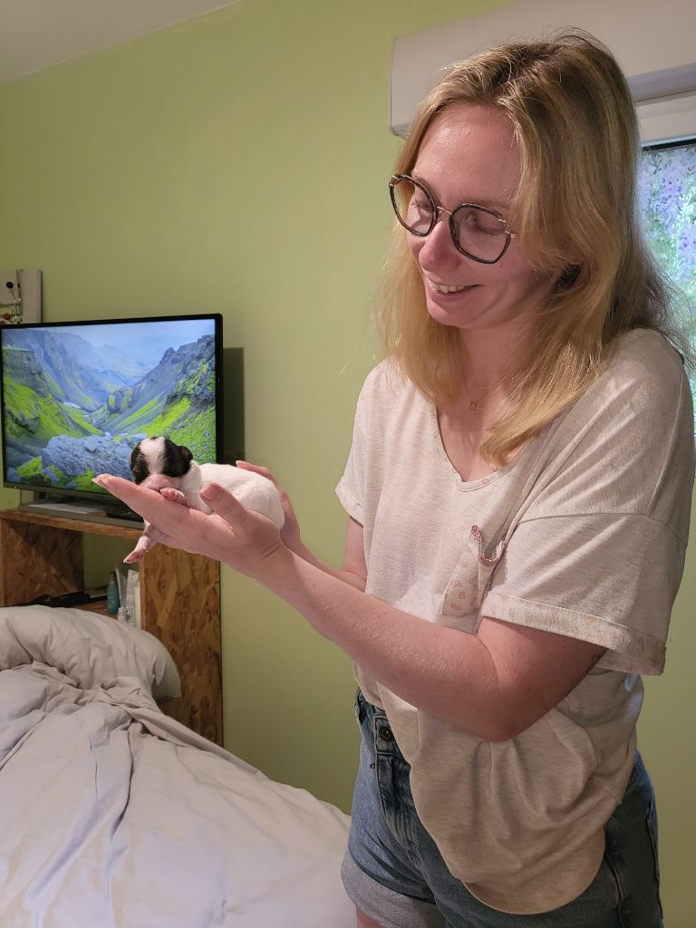 Publication : De stang veil Auteur : Maela Le corre