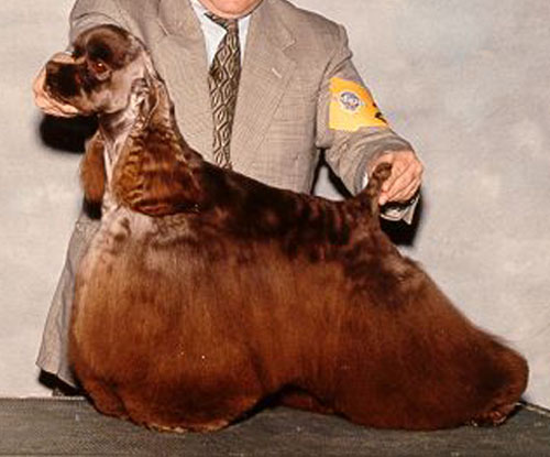 Publication : Meggie's