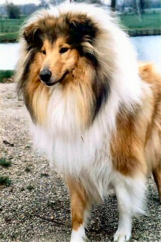 Princesse ozaria de la Vallée de l'Aisne