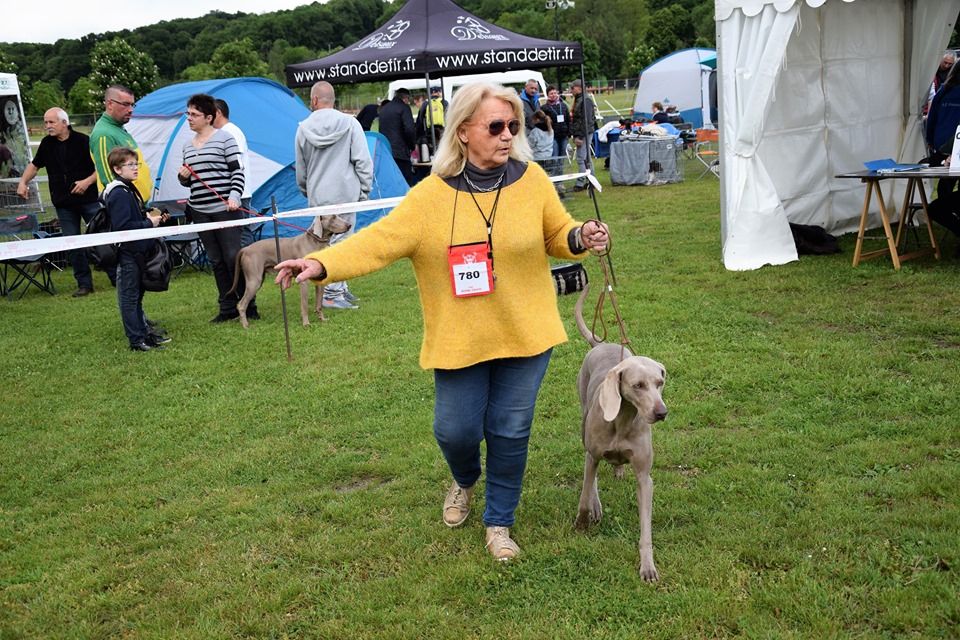 Publication : De gray ghost' de la chevalerie Auteur : LECACHEUX