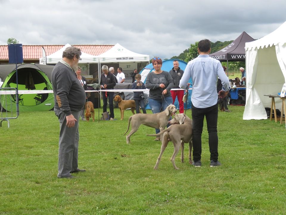 Publication : De gray ghost' de la chevalerie Auteur : LECACHEUX