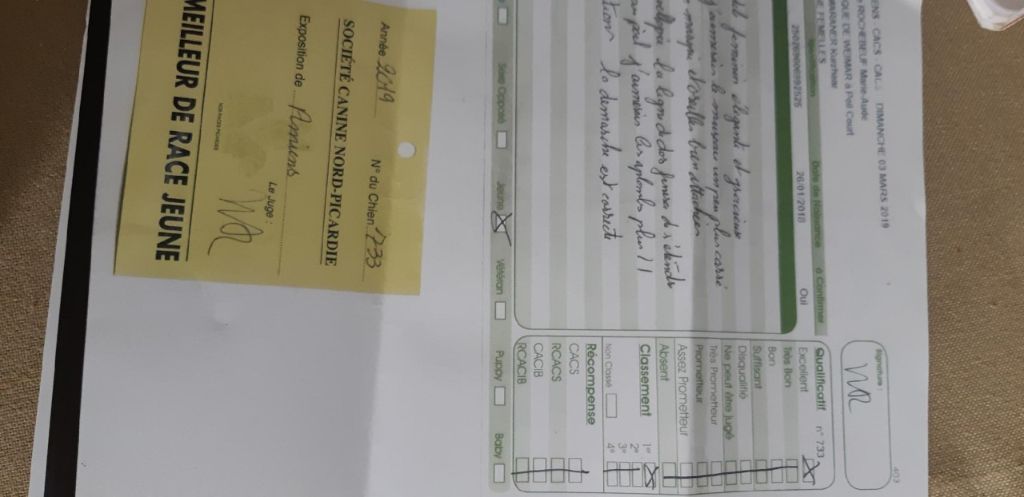 Publication : De gray ghost' de la chevalerie Auteur : LECACHEUX