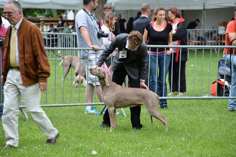 Diam's De gray ghost' de la chevalerie - 2ème EXC classe travail