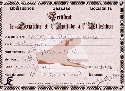 Speed of dog's in black - CSAU