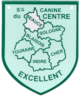 Speed of dog's in black - Excellent