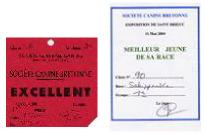 Chypsie (Sans Affixe) - 1er Excellent - Meilleur de race jeune