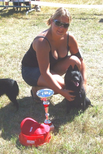 Chypsie (Sans Affixe) - 3ème Excellent