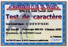 Chypsie (Sans Affixe) - TAN