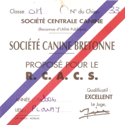 Speed of dog's in black - 2ème Excellent - RCACS