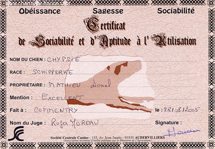 Chypsie (Sans Affixe) - CSAU