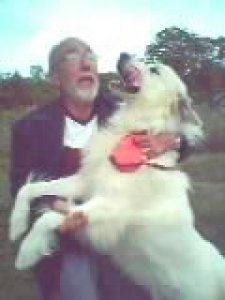 Publication : du Haras de Chante-Neige Auteur : REMY