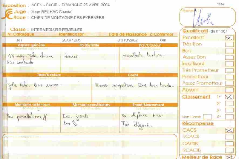 Tout-pâle du Haras de Chante-Neige - 1ère EXCELLENT CACS - MEILLEURE DE RACE