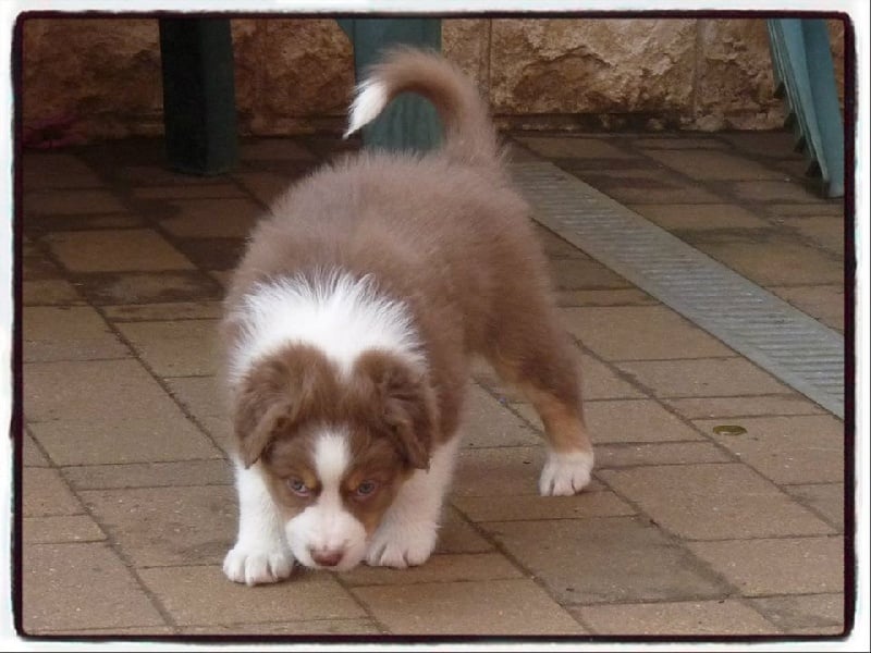 Publication : De la terre des deux caps