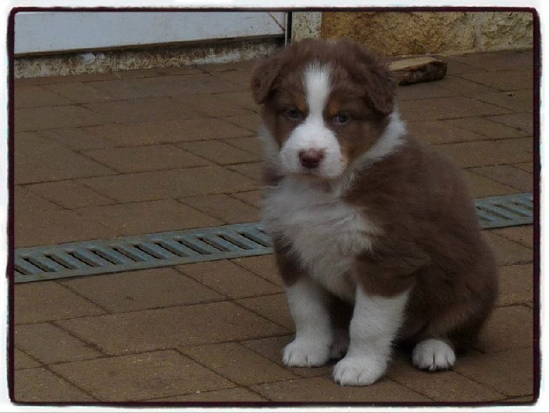 Publication : De la terre des deux caps