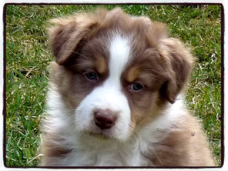 Publication : De la terre des deux caps