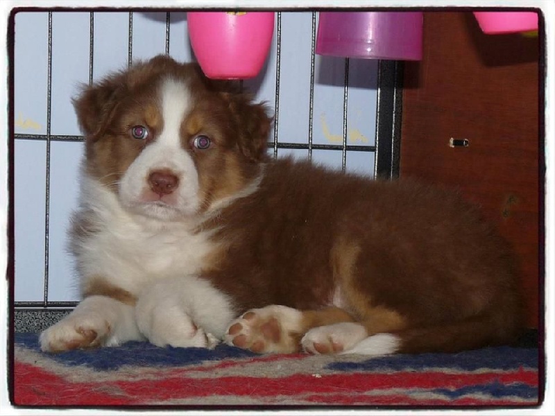 Publication : De la terre des deux caps