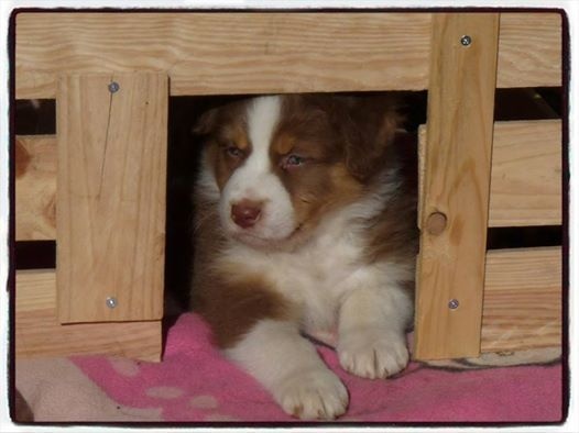 Publication : De la terre des deux caps