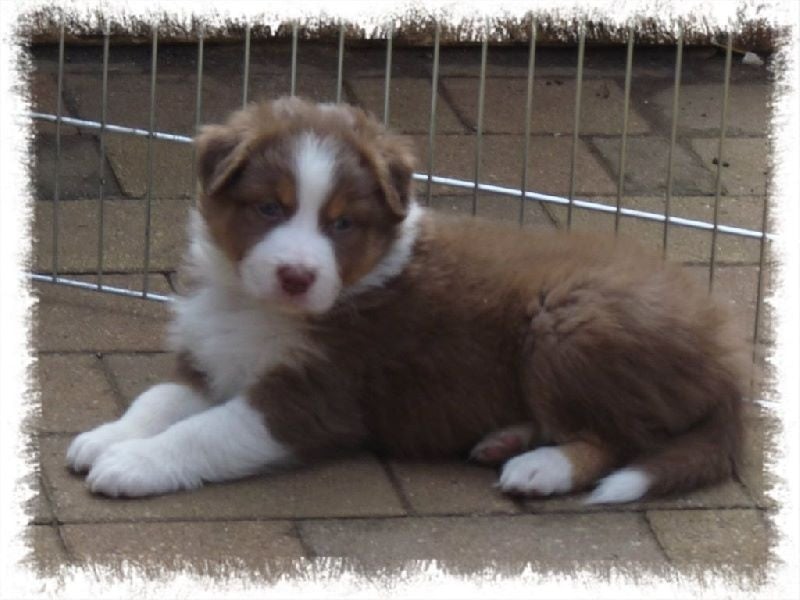 Publication : De la terre des deux caps