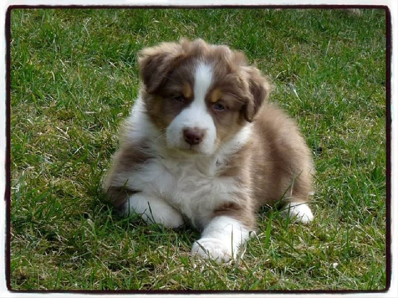 Publication : De la terre des deux caps