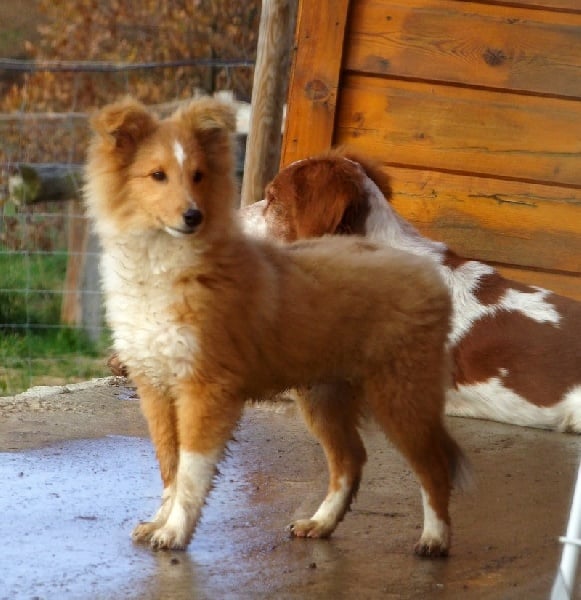 CH. Gimboï du Cap de la Coste