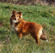 Galejades du Cap de la Coste