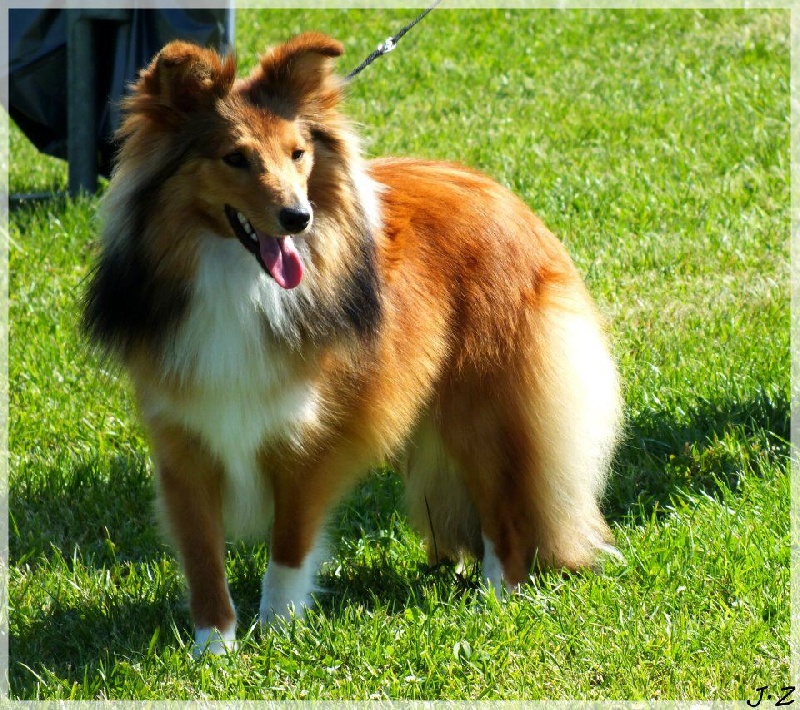 Galejades du Cap de la Coste
