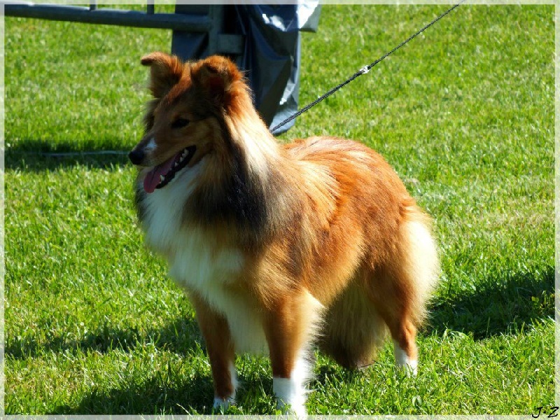 Galejades du Cap de la Coste