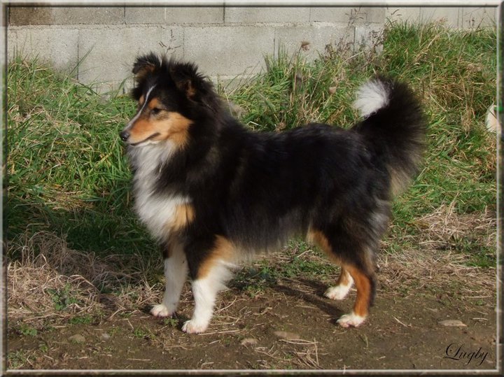 Finca du Cap de la Coste