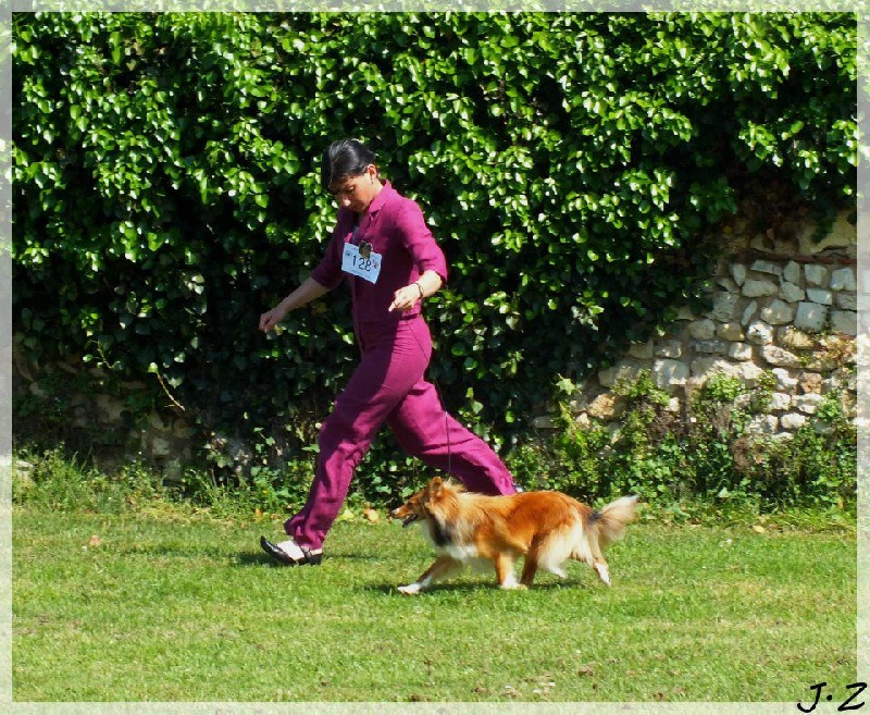 Galejades du Cap de la Coste