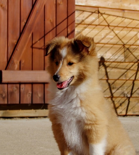 CH. Gimboï du Cap de la Coste