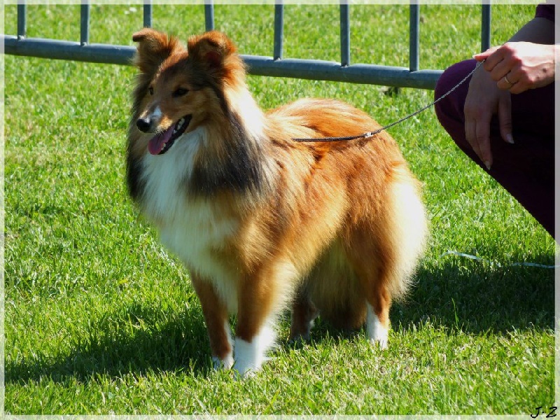 Galejades du Cap de la Coste