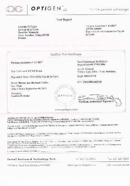 CH. Gimboï du Cap de la Coste