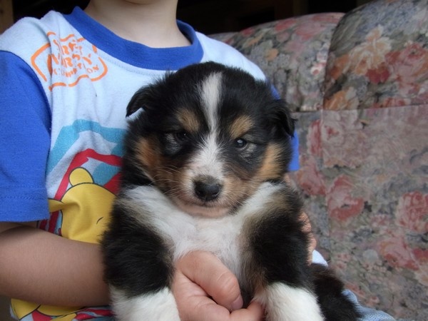 Finca du Cap de la Coste