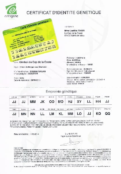 CH. Gimboï du Cap de la Coste