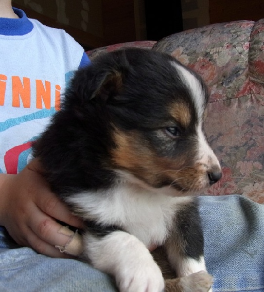 Finca du Cap de la Coste