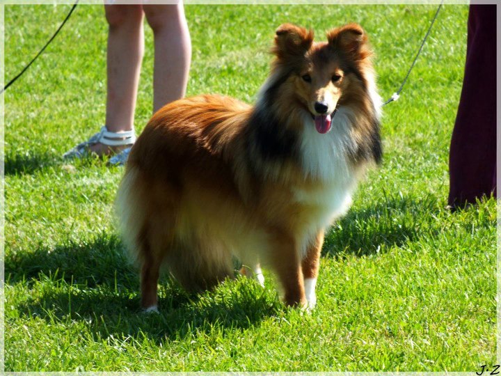 Galejades du Cap de la Coste