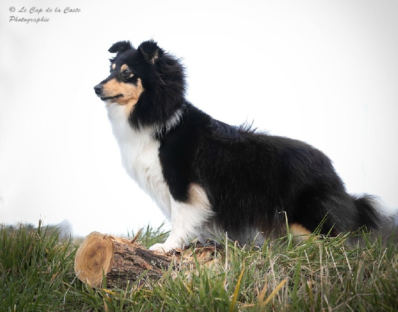 Ivresse d'eté du Cap de la Coste