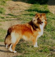 Galejades du Cap de la Coste