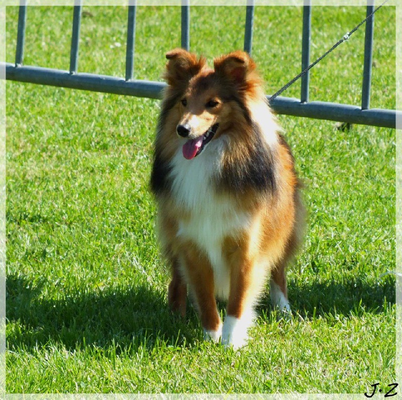 Galejades du Cap de la Coste
