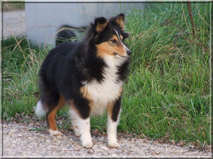 Finca du Cap de la Coste