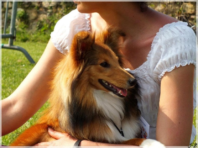 Galejades du Cap de la Coste