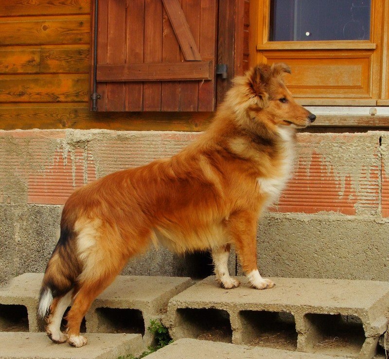 Galejades du Cap de la Coste