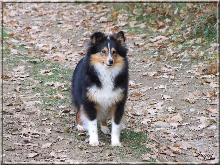 Finca du Cap de la Coste