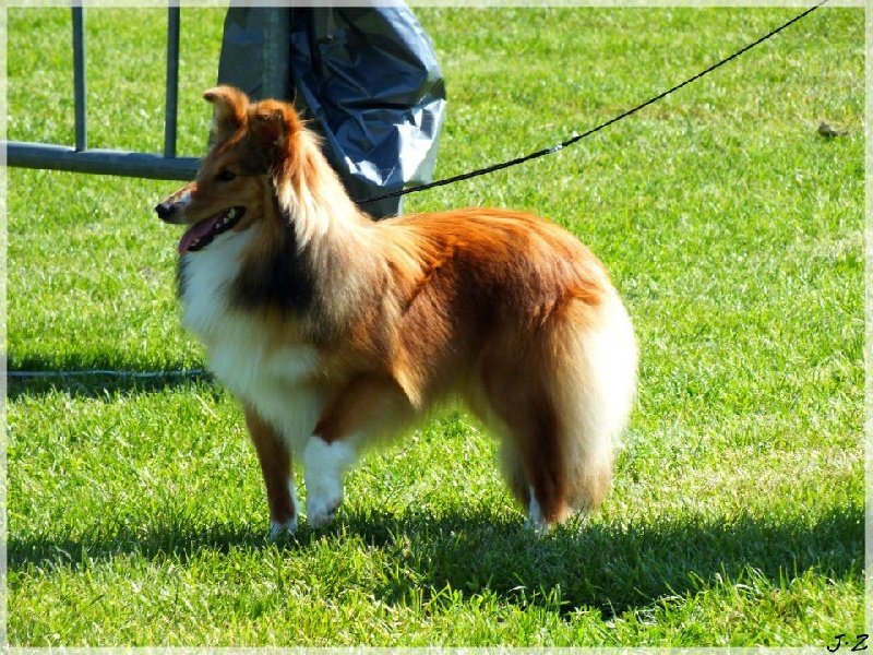 Galejades du Cap de la Coste