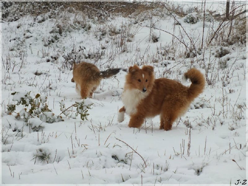 CH. Gimboï du Cap de la Coste