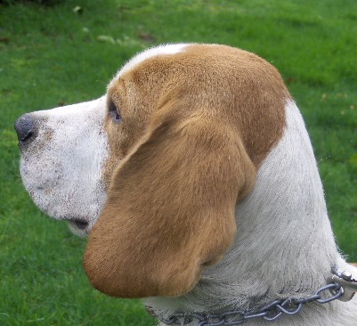 Publication : du rallye des trois ponts